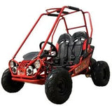 Trailmaster Mini XRX+ 2- Seater GO-KART EAGLE SERIES 163cc Blues. image 4